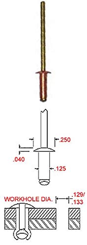 1/8' Diameter Copper Blind Rivet with Copper Mandrel, Dome Head, Grip Range .251-.375 (Pack of 1000)