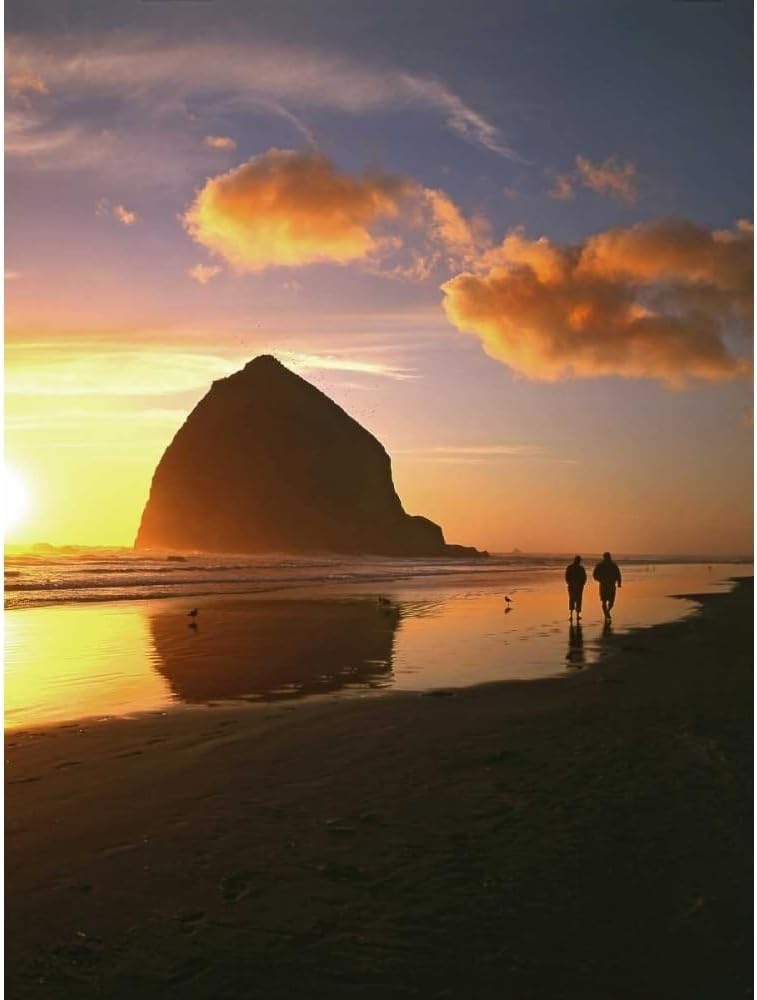 ArtDirect OR, Cannon Beach Couple by Haystack Rock, sunset 36x48 Huge Black Modern Wood Framed Canvas Giclee Art by Terrill, Steve
