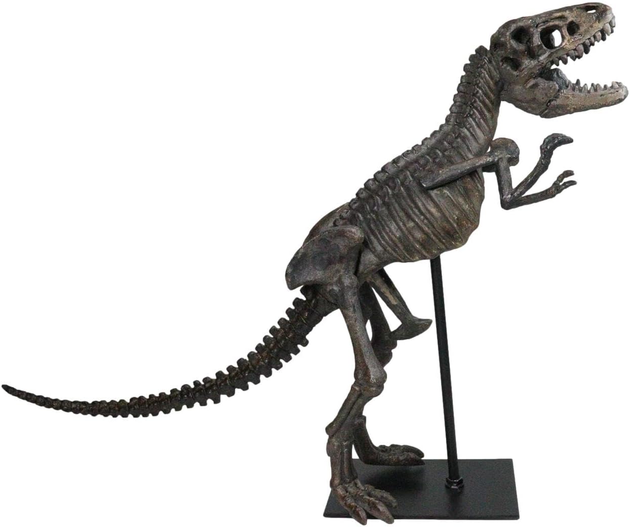 Ebros Prehistoric Standing Tyrannosaurus Rex Dinosaur Fossil Skeleton Statue On Museum Gallery Mount 19.25' Long for Trex Archaeology Fans Excavation of Ice Age Jurassic Era Decor Figurine Model