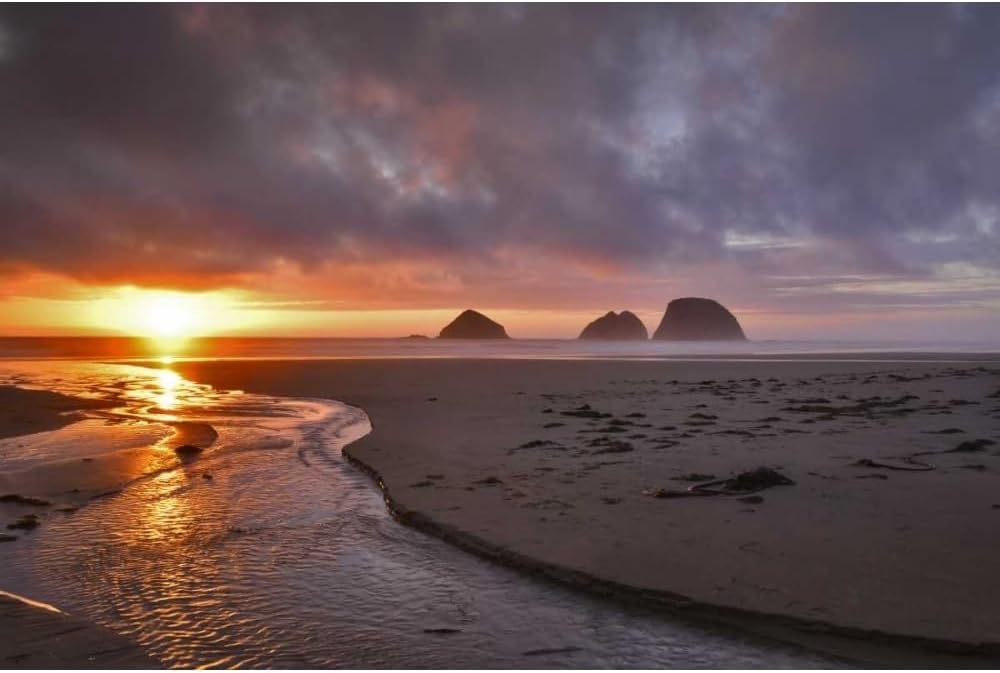 ArtDirect Terrill, Steve 40x28 XL Black Ornate Framed and Double Matted Museum Art Print Titled Oregon, Oceanside Sunset on Three Arch Rocks