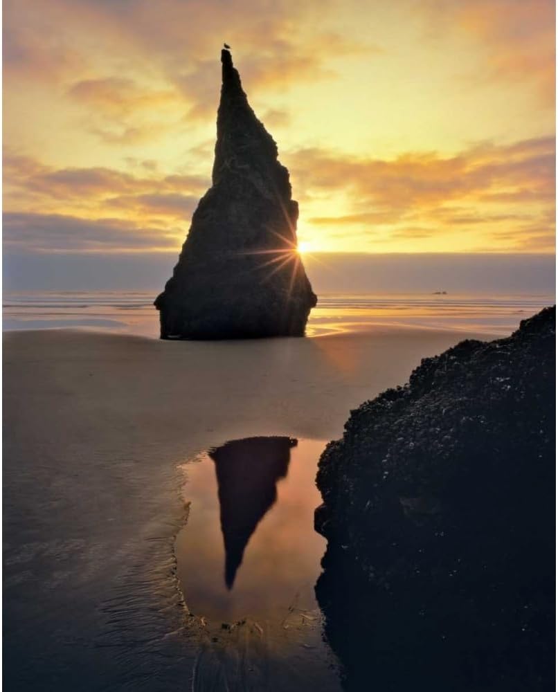 ArtDirect Oregon Rock formation at sunset on Bandon Beach 36x45 Huge Black Modern Wood Framed Canvas Giclee Art by Terrill, Steve