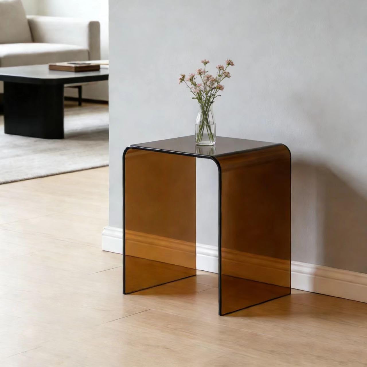 Clear Acrylic End Table with Rounded Edges,18' H Small Side Table,Acrylic Side Table for Living Room, Night Stands for Bedrooms,Modern Occasional Tables (12' D x 16' W x 18' H) (Black Brown)