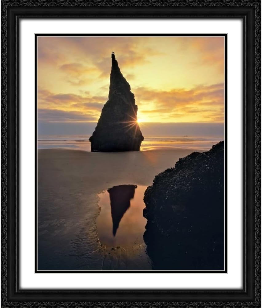 ArtDirect 15x18 Terrill, Steve Black Ornate Framed and Double Matted Museum Art Print Titled Oregon Rock formation at sunset on Bandon Beach