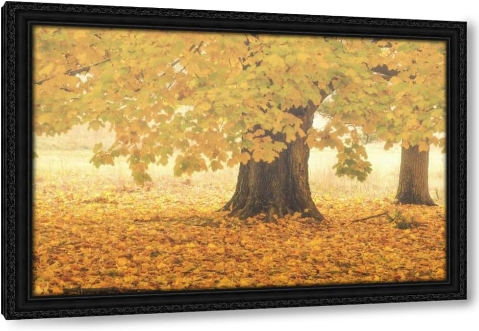 Terrill, Steve 24x17 Black Ornate Framed Canvas Art Print Titled: Oregon, Oceanside Sunset on Three Arch Rocks