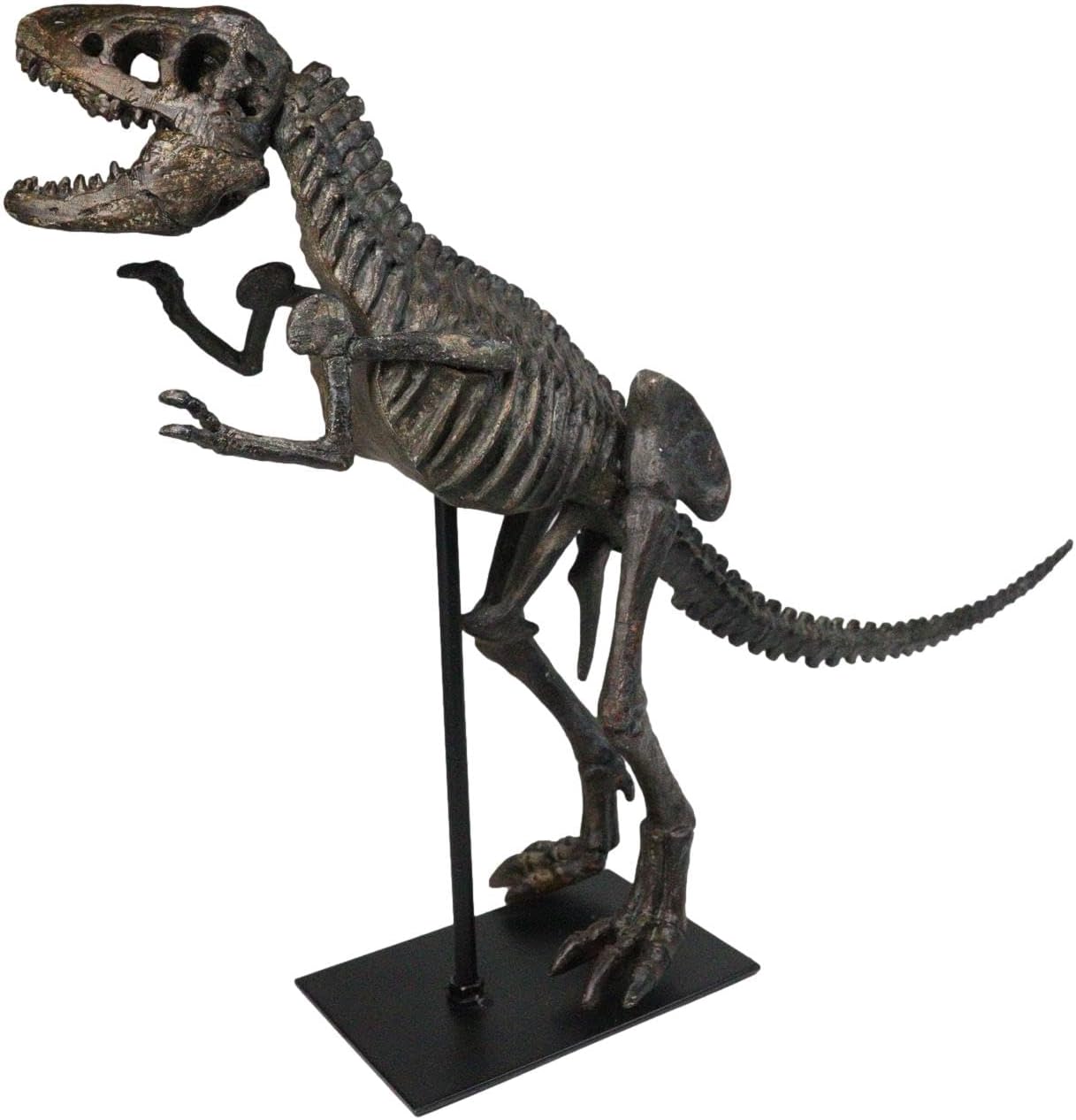 Ebros Prehistoric Standing Tyrannosaurus Rex Dinosaur Fossil Skeleton Statue On Museum Gallery Mount 19.25' Long for Trex Archaeology Fans Excavation of Ice Age Jurassic Era Decor Figurine Model