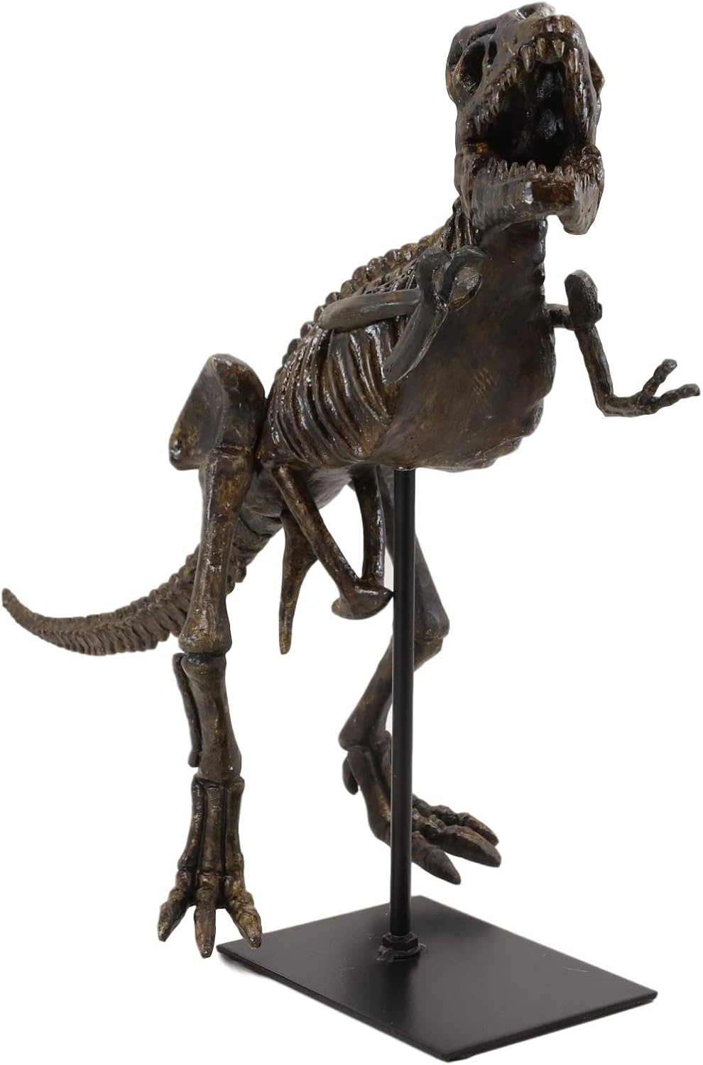Ebros Prehistoric Standing Tyrannosaurus Rex Dinosaur Fossil Skeleton Statue On Museum Gallery Mount 19.25' Long for Trex Archaeology Fans Excavation of Ice Age Jurassic Era Decor Figurine Model