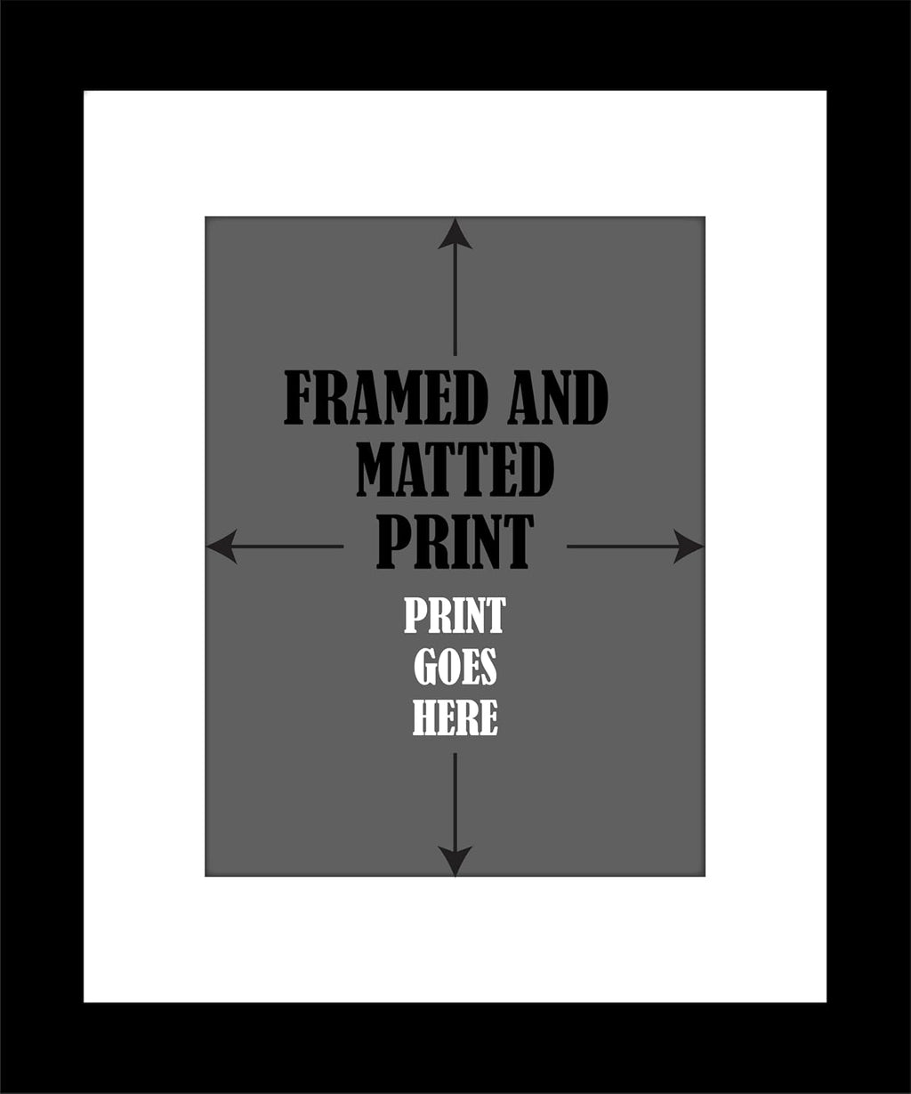 Free Bird Classic Rock Song Music Quote - Inspired Print Artwork Celebration Poster Art Home Decor Retirement Gift (14'L x 11'W, Print with Frame and Mat)