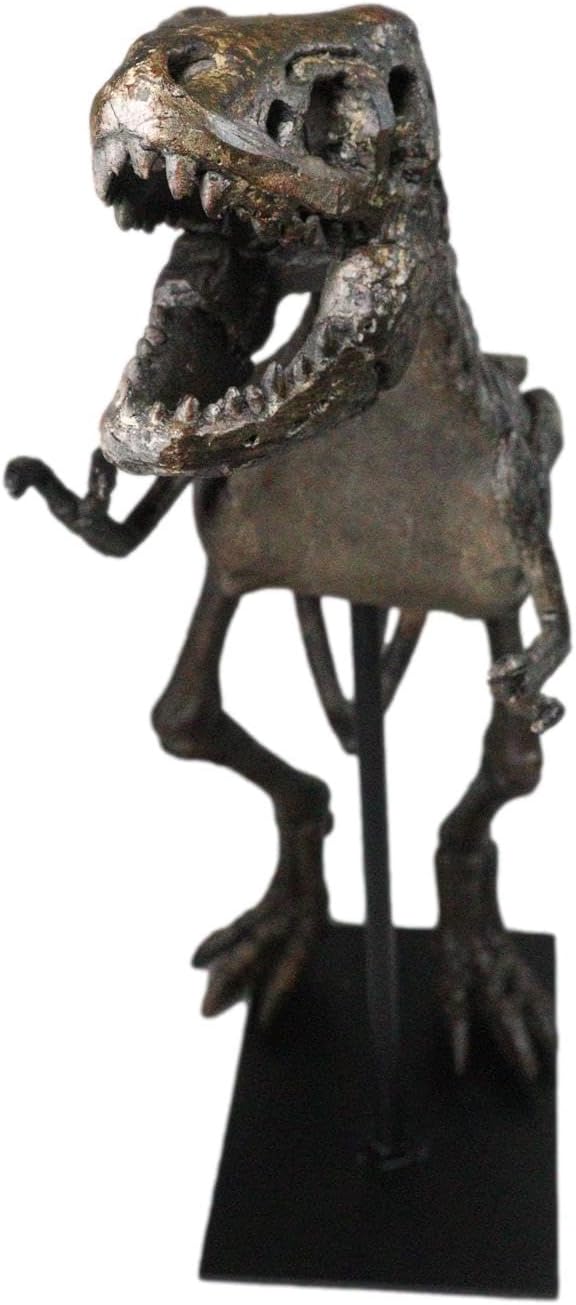 Ebros Prehistoric Standing Tyrannosaurus Rex Dinosaur Fossil Skeleton Statue On Museum Gallery Mount 19.25' Long for Trex Archaeology Fans Excavation of Ice Age Jurassic Era Decor Figurine Model