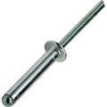 Pop Rivets 3/16' x 1' Aluminum Body Steel Mandrel Dome Head Blind Pack of 500 Fastener Set LS15282F