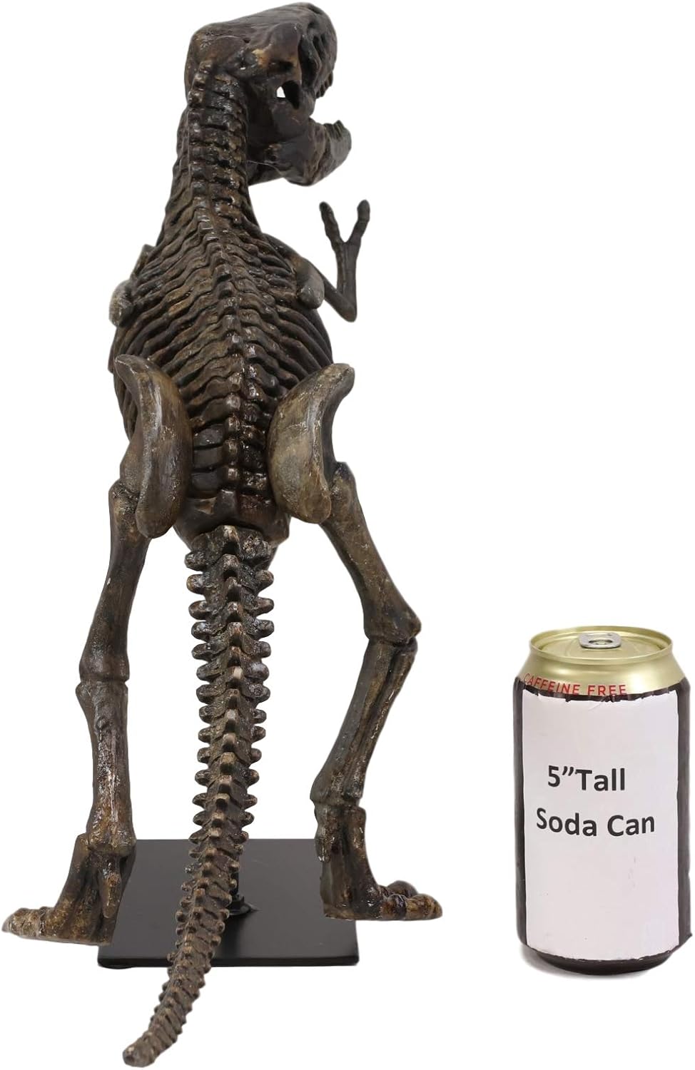 Ebros Prehistoric Standing Tyrannosaurus Rex Dinosaur Fossil Skeleton Statue On Museum Gallery Mount 19.25' Long for Trex Archaeology Fans Excavation of Ice Age Jurassic Era Decor Figurine Model