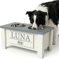GTW Elevated Dog Bowl Stand for Medium Dogs - Customized Feeding Station with Storage & Stainless Steel Food Bowls (Medium, Grey)
