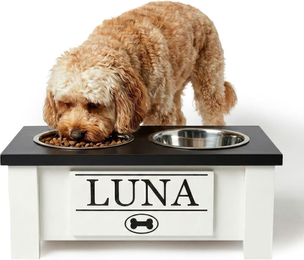 GTW Elevated Dog Bowl Stand for Small Dogs - Customized Feeding Station with Storage & Stainless Steel Food Bowls (Small, Black)