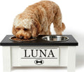 GTW Elevated Dog Bowl Stand for Small Dogs - Customized Feeding Station with Storage & Stainless Steel Food Bowls (Small, Black)
