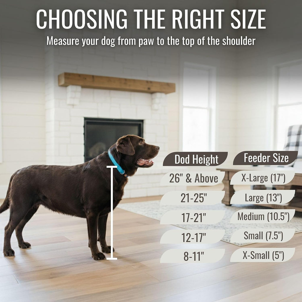 GTW Elevated Dog Bowl Stand for Large Dogs - Customized Feeding Station with Storage & Stainless Steel Bowls (X-Large, Grey)