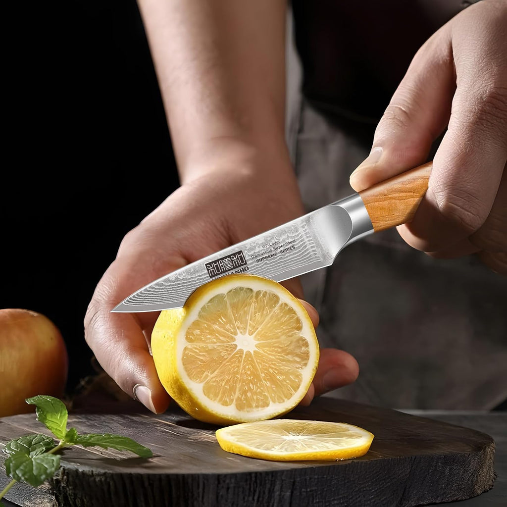 HOSHANHO Damascus Kitchen Knife Set 3-Piece, Ultra Sharp 8' Chef Knife, 7' Santoku Knife, 3.75' Paring Knife, Professional 10Cr15CoMoV Damascus Super Steel Chef Knife Set with Ergonomic Handle