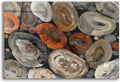 Epic Art 'Autumn Rocks' by Albena Hristova Acrylic Glass Wall Art, 36' x 24'