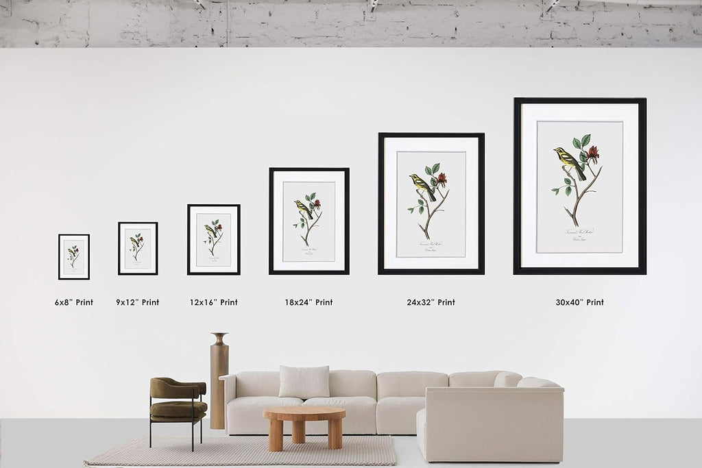 LIVESTOCK Classic Print Gallery Stagecoach To Dancers' Rock, Vintage Movie Poster Wall Art, Iconic Retro Cinema Nostalgia Home Decor Restored from Original Artwork in the USA, Walnut frame, 12x16