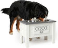 GTW Elevated Dog Bowl Stand for Large Dogs - Customized Feeding Station with Storage & Stainless Steel Bowls (X-Large, Grey)