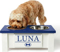 GTW Elevated Dog Bowl Stand for Small Dogs - Customized Feeding Station with Storage & Stainless Steel Food Bowls (Small, Blue)