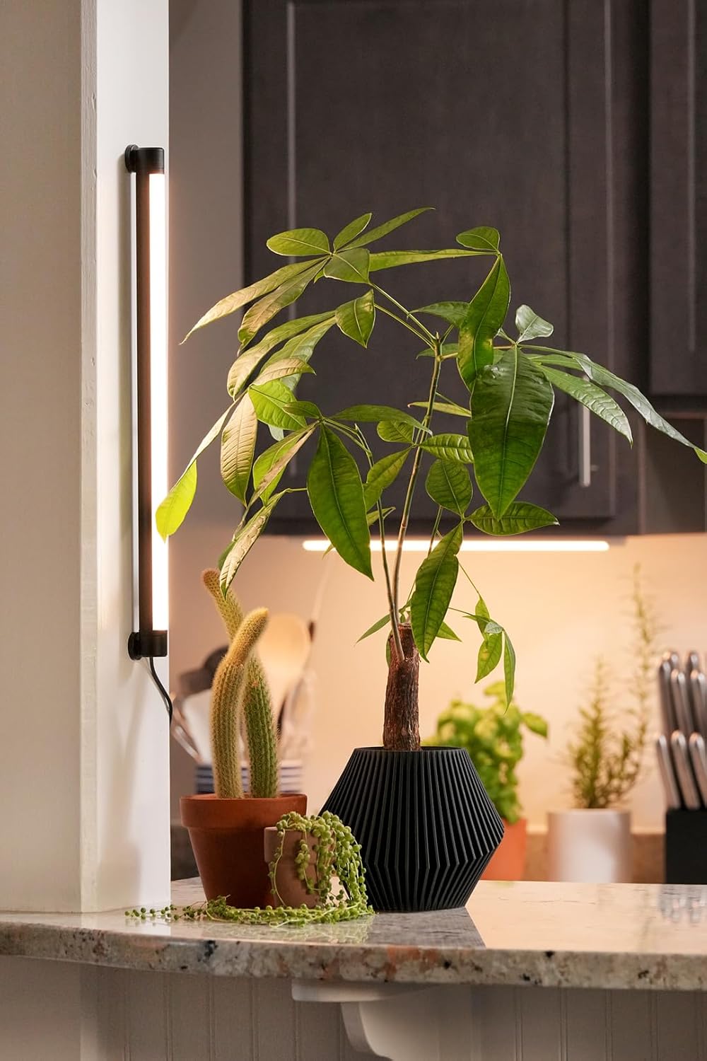 Soltech Solutions Grove™ LED Grow Light - Under-Cabinet/Shelving or wall Mounted LED bar Light for Indoor houseplants and Herbs - Touch Control Power and dimming (Black)