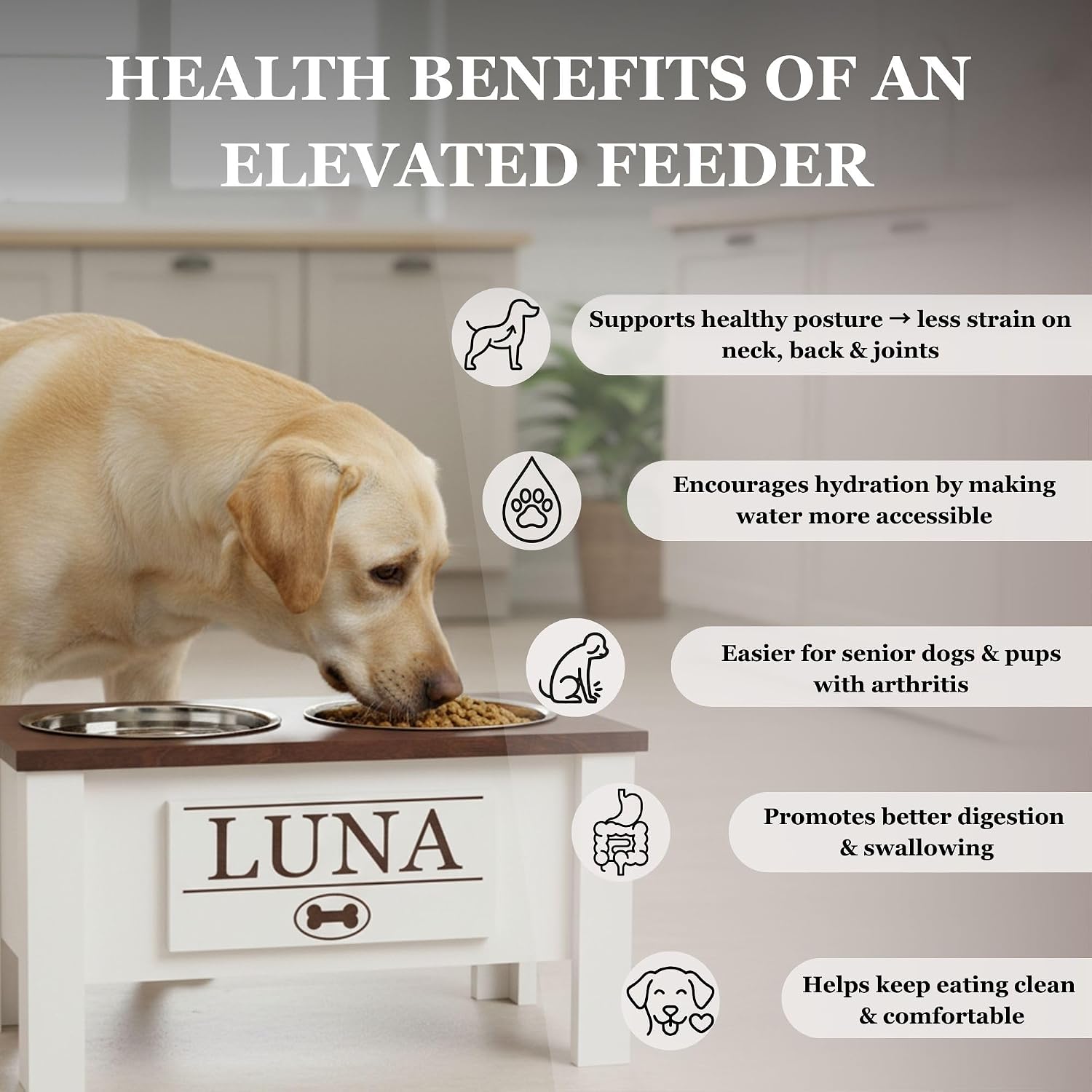 GTW Elevated Dog Bowl Stand for Small Dogs - Customized Feeding Station with Storage & Stainless Steel Food Bowls (Small, Black)