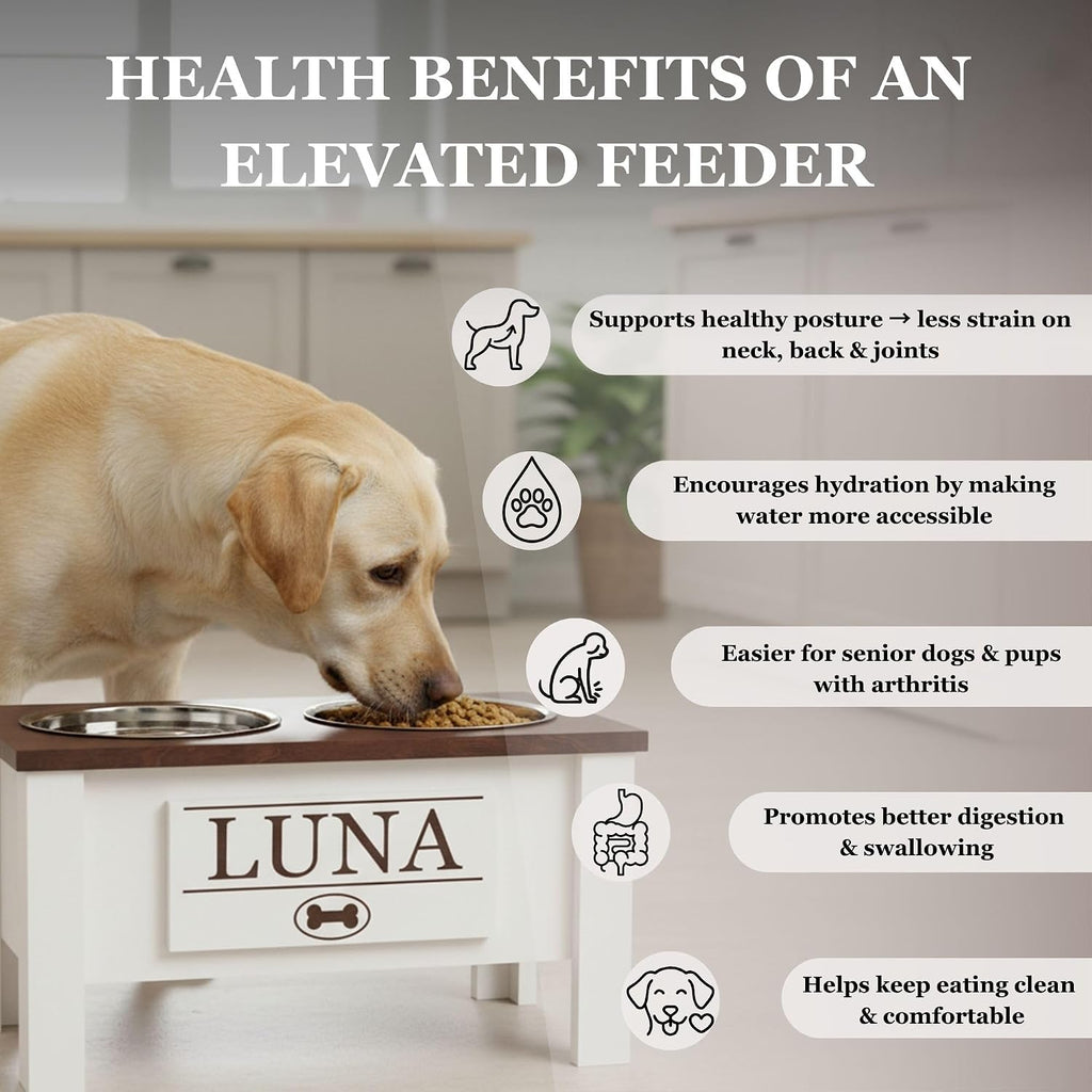 GTW Elevated Dog Bowl Stand for Small Dogs - Customized Feeding Station with Storage & Stainless Steel Food Bowls (Small, Blue)