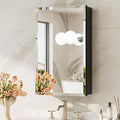 TokeShimi 14 x 24 Medicine Cabinet with Mirror, Assembly Required, Black Recessed Bathroom Medicine Cabinet with Tempered Beveled Mirror, Stepless Adjustable Shelves, DTC Hinge