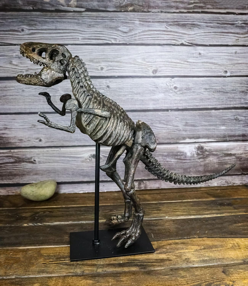 Ebros Prehistoric Standing Tyrannosaurus Rex Dinosaur Fossil Skeleton Statue On Museum Gallery Mount 19.25' Long for Trex Archaeology Fans Excavation of Ice Age Jurassic Era Decor Figurine Model