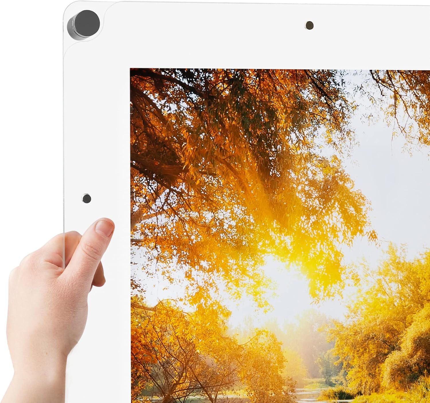ArtToFrames 24x36 Inch Magnetic Acrylic Frame with Chrome Standoffs for Wall Mounting and Removable Acrylic Front, Full Frame Size is 28x40 Inches (AcrylicMagnet-109-24x36-79-1)