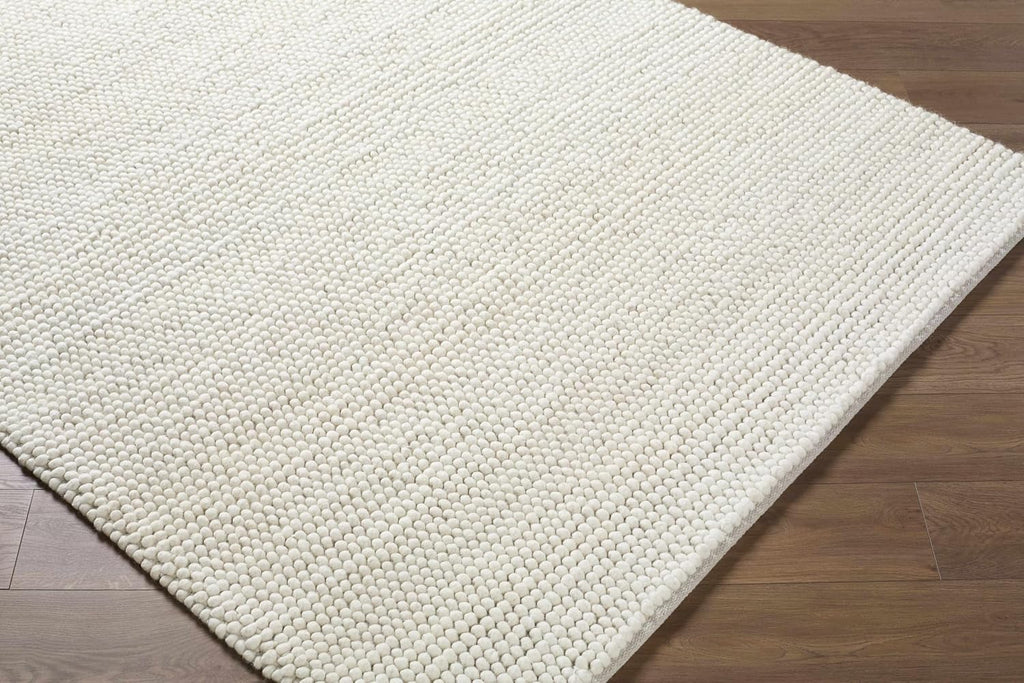 BoutiqueRugs Beige Textured Transitional Wool 2x3 Accent Rug Hand Woven Bohemian Clayne Entryway Bedside Nursery Mudroom Bathroom Powder Room Stain Resistant Non-Shedding Pet Friendly