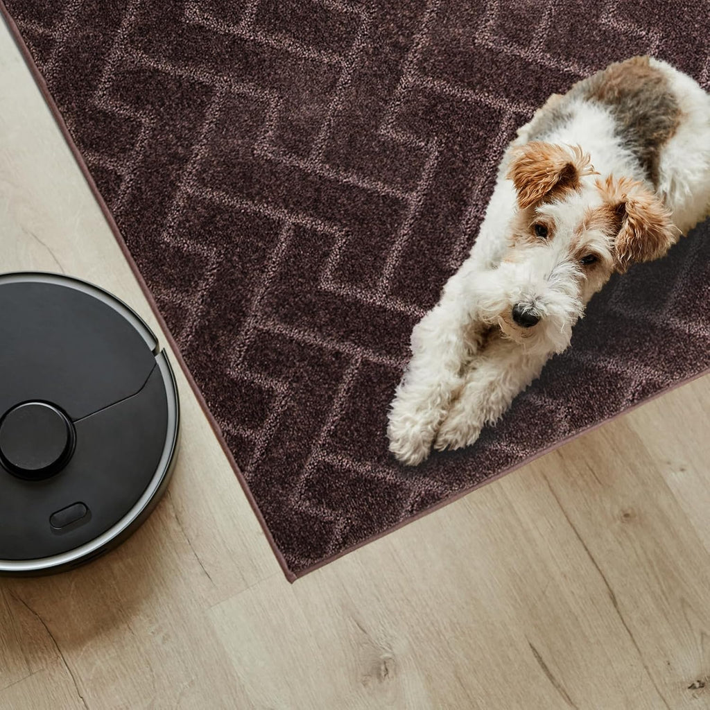 PURRUGS Easy Care Area Rug 4ft x 6ft, Non-Slip Machine Washable Entry Rug, Dog Door Mat, Stain Resistant Accent Rug for Hallway, Bedroom, Living Room and Mudroom, Brown