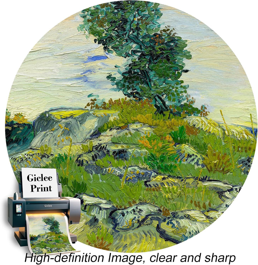 A&T ARTWORK The Rocks by Vincent Van Gogh.Framed Size:40.5x34.5 inches,Image Size:36x30 inches World Classic Reproductions For HomeDecor,Golden Frame