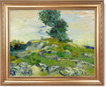 The Rocks by Vincent Van Gogh Framed Size:30x36 inches,Image Size:24x30 inches,Golden Frame The World Classic Art Reproductions,Wall Art for Home Decor