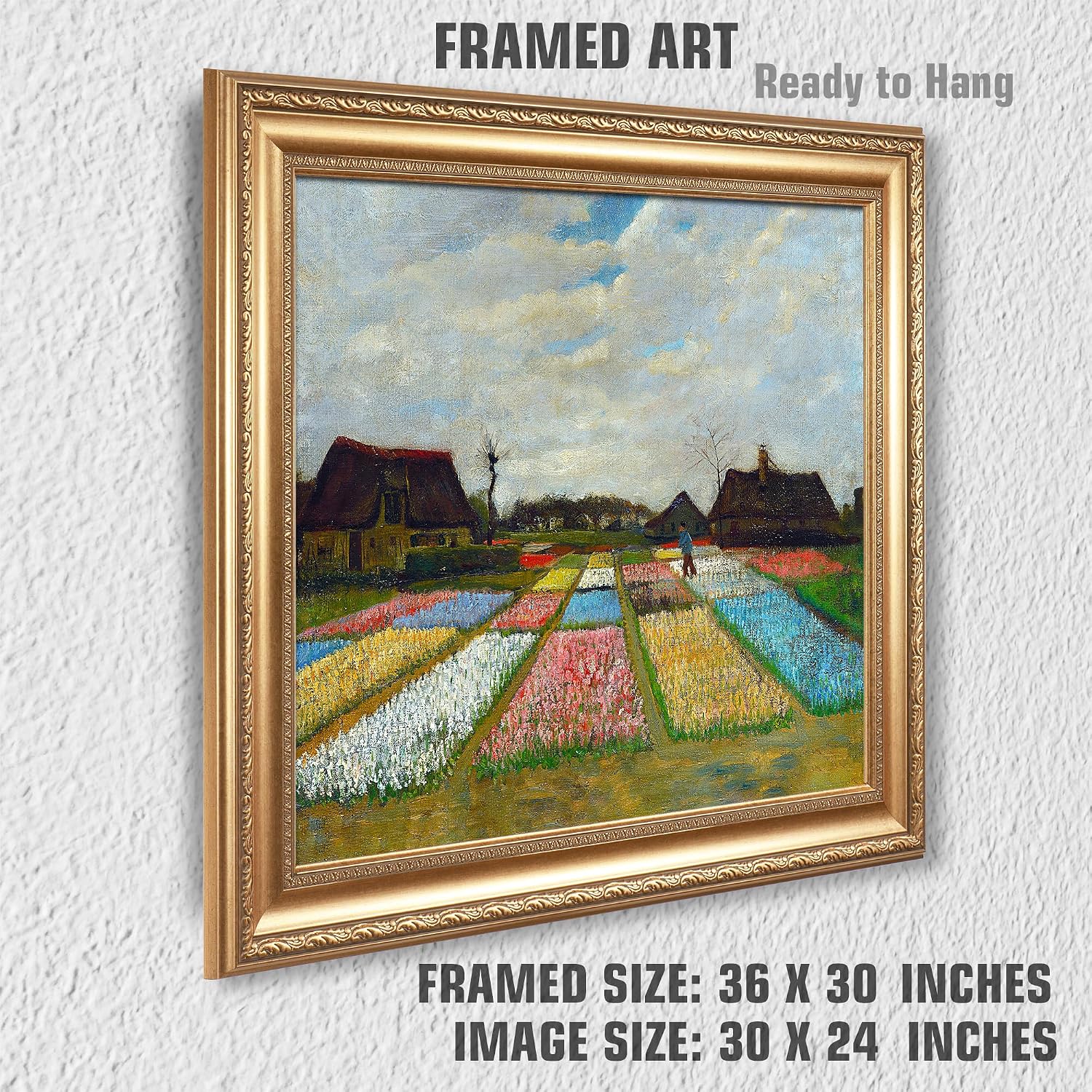 Bulb Fields by Vincent Van Gogh Framed Size:30x36 inches,Image Size:24x30 inches,Golden Frame The World Classic Art Reproductions,Wall Art for Home Decor