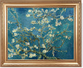 Almond Blossom by Vincent Van Gogh Framed Size:30x36 inches,Image Size:24x30 inches,Golden Frame The World Classic Art Reproductions,Wall Art for Home Decor