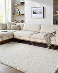 BoutiqueRugs Beige Textured Transitional 9x12 Large Area Rug Wool Hand Woven Bohemian Clayne Great Room Open Concept Master Bedroom Large Dining Room Stain Resistant Non-Shedding Pet Friendly