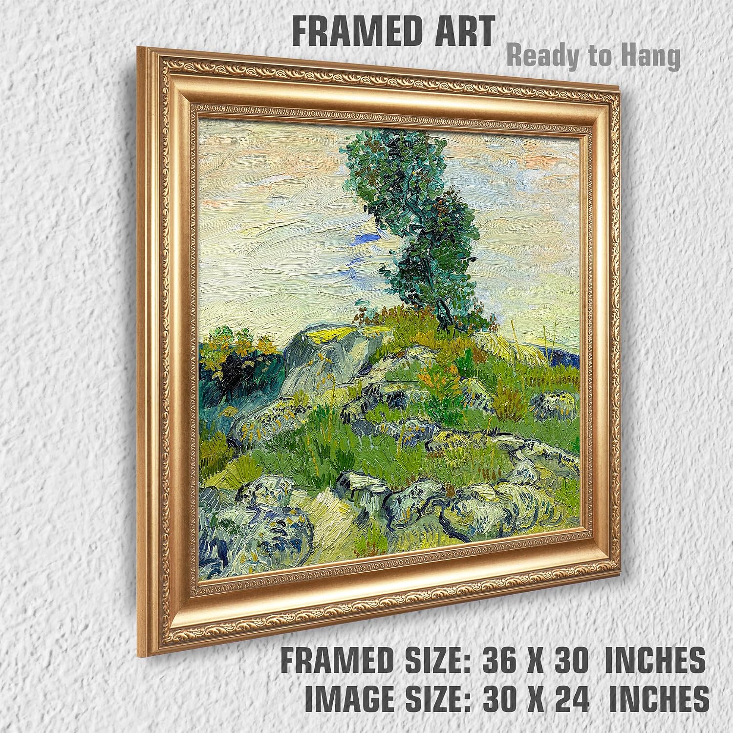 The Rocks by Vincent Van Gogh Framed Size:30x36 inches,Image Size:24x30 inches,Golden Frame The World Classic Art Reproductions,Wall Art for Home Decor