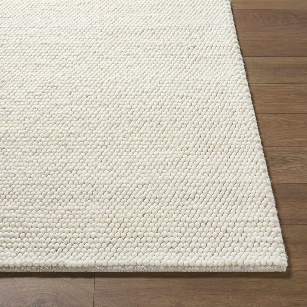 BoutiqueRugs Beige Textured Transitional 9x12 Large Area Rug Wool Hand Woven Bohemian Clayne Great Room Open Concept Master Bedroom Large Dining Room Stain Resistant Non-Shedding Pet Friendly