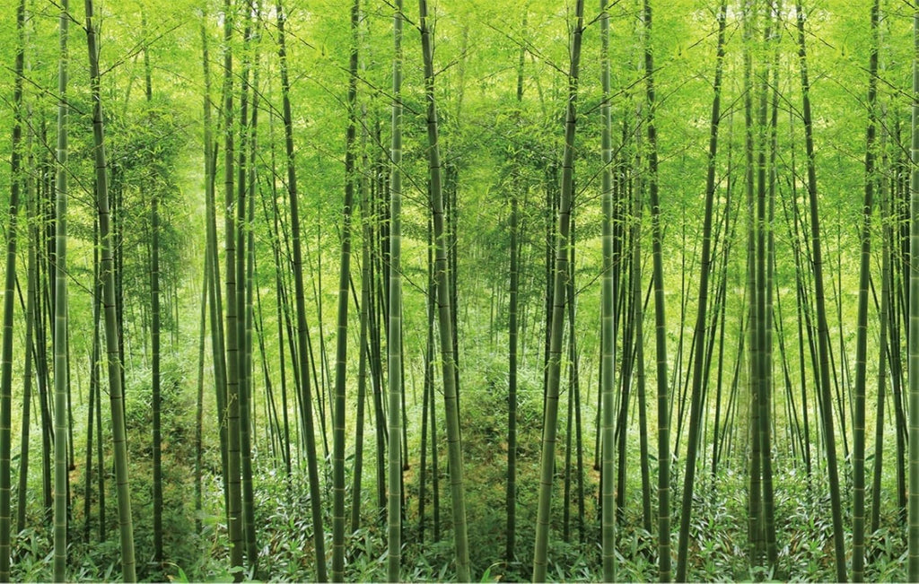Custom Wall Murals,HD Green Bamboo Forest Natural Landscape，Removable Large Photo Wallpaper(Self-Adhesive Wall Fabric,No PVC) 151' x 105'