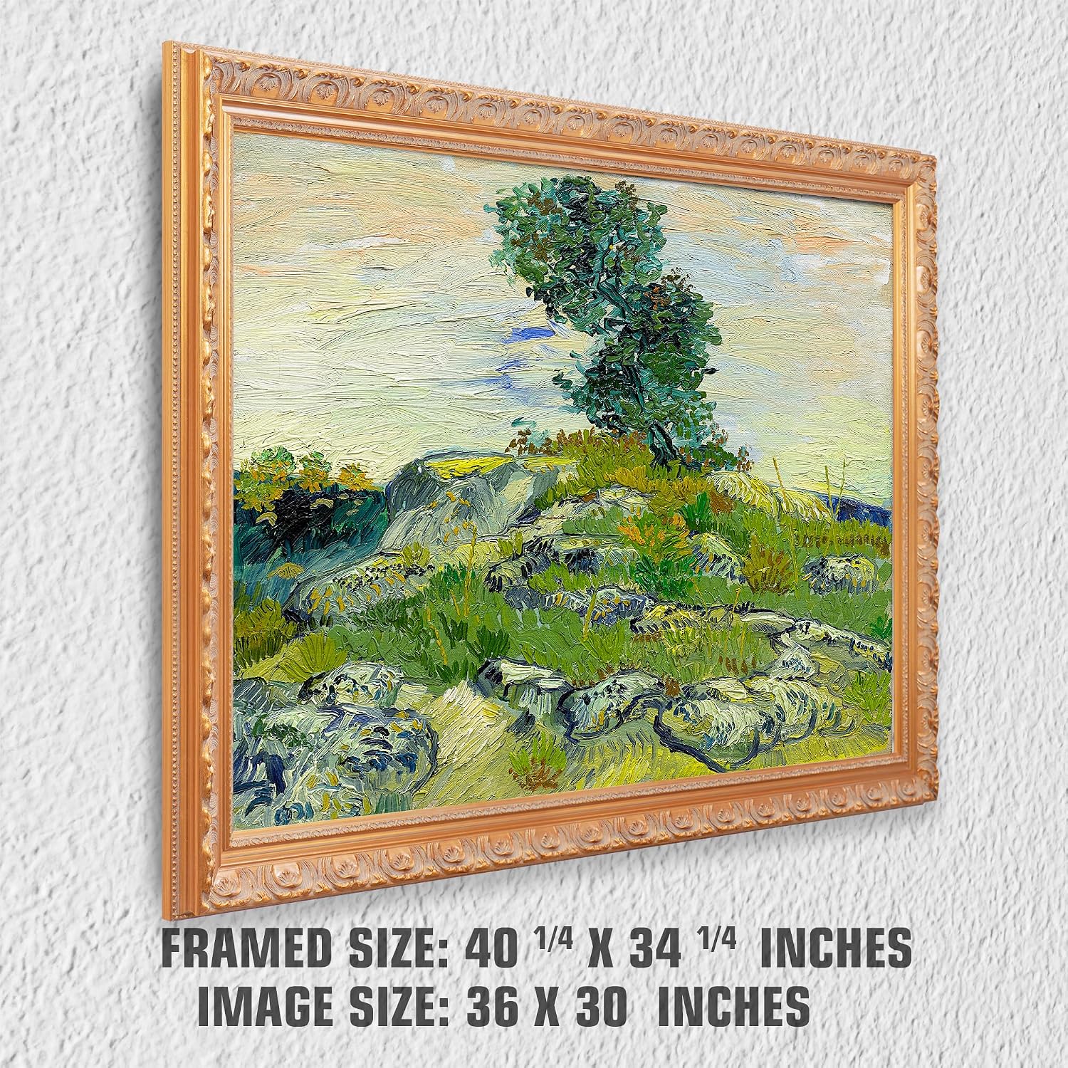 The Rocks by Vincent Van Gogh Solid Wooden Framed Size:40.5x34.5 inches,Image Size:36x30 inches,Golden Frame The World Classic Art Reproductions,Wall Art for Home Decor