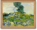 A&T ARTWORK The Rocks by Vincent Van Gogh.Framed Size:40.5x34.5 inches,Image Size:36x30 inches World Classic Reproductions For HomeDecor,Golden Frame