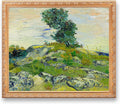 The Rocks by Vincent Van Gogh Solid Wooden Framed Size:40.5x34.5 inches,Image Size:36x30 inches,Golden Frame The World Classic Art Reproductions,Wall Art for Home Decor